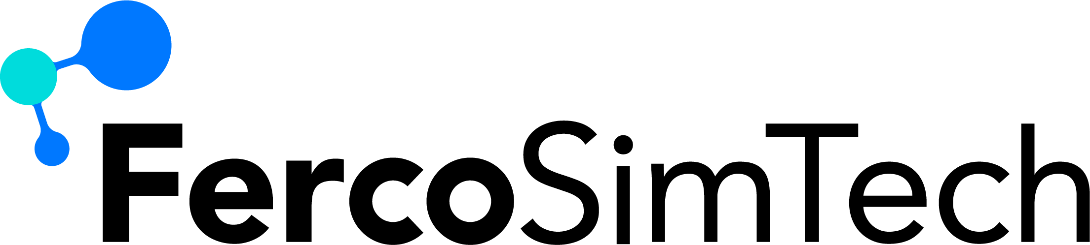 FercoSimTech